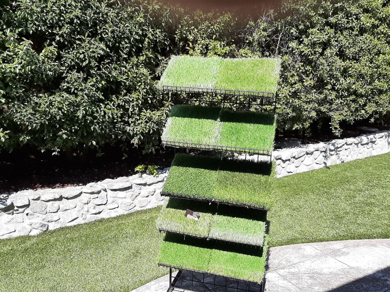 re_photo4
